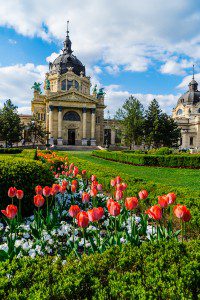April Spring Flowers in Szechenyi Baths Budapest